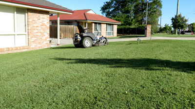 Lawnmax Professional Lawn Care